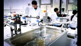 Scientists Build Artificial Bones Using Lego