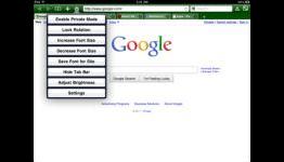 Top 5 Alternative Web Browsers for iPad