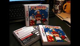 Flipper Developer Working on 3DS Project
