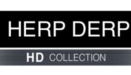 HD Collection Wishlist – What Do You Wish For?