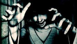 Hope for Fatal Frame: Deep Crimson Butterfly in the states?