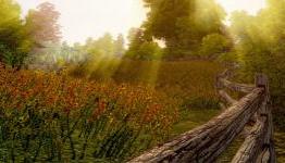 Musings Of A Mad Hatter: Garner Immersion