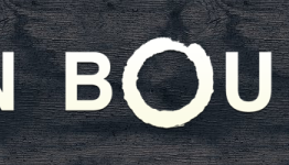 ButtonMasher Reviews: Zen Bound 2