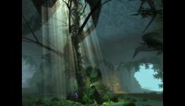 DDO Menace of the Underdark preview PAX East 2012 (Examiner.com)