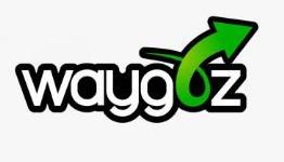 Waygoz Threatens To Marginalize GameStop, Other Used Retailers