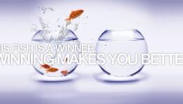 Winning Makes You Better