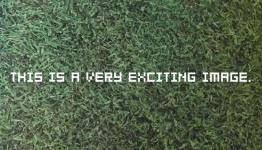 Is this a Pikmin 3 teaser?