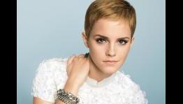 Emma Watson, Jason Segel and David Krumholtz to Cameo in Seth Rogen’s ‘End of the World’