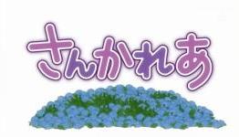 HiTOKEN: Sankarea [First Impressions]