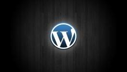 DIY Web Design vs Pro: which one you should go for?