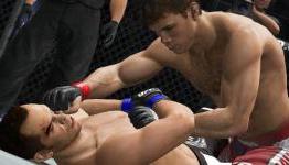 No More DLC Planned For UFC Undisputed 3