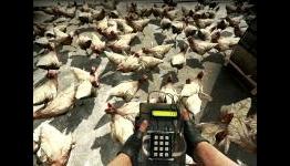 CS:GO Dedicated Server Beta Begins