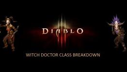 Diablo 3 Witch Doctor Class Breakdown – Brothersinsanity.com