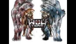Wolf Team Review – MMOGameCentral.Com