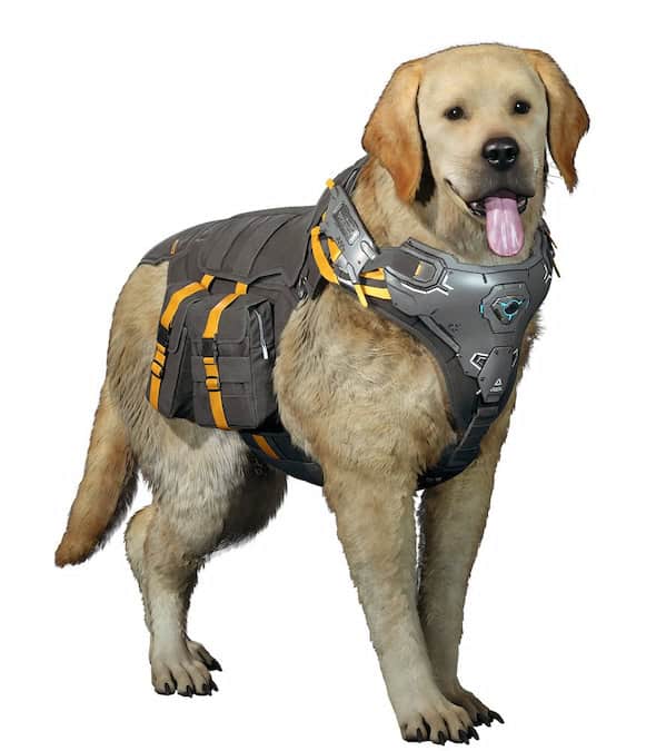 The First Descendant Vespers Hunting Dog
