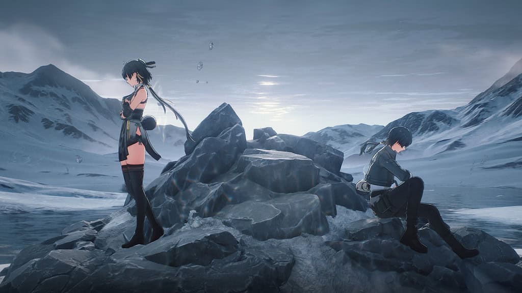 Wuthering Waves two characters opposite from each other on a rock