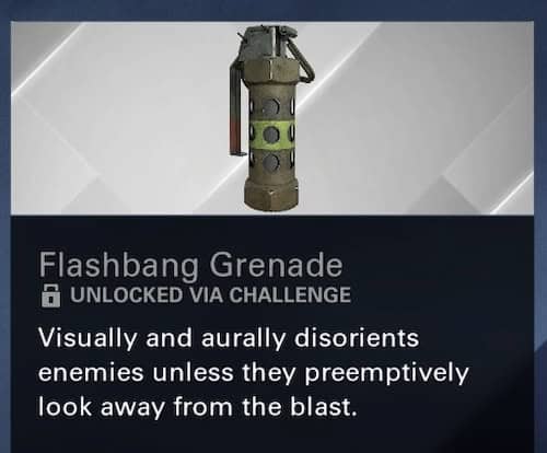 Screenshot of a Flashbang Grenade in XDefiant