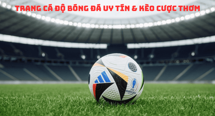 Tổng hợp 12+ trang cá cược bóng đá an toàn, có tỷ lệ kèo cược hấp dẫn nhất